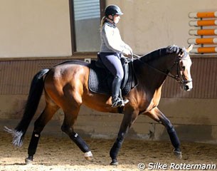 Rebecca Schöffler riding Kansas who showed a lot of natural go.