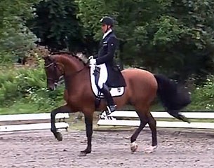 Andreas Helgstrand and Sieger Hit at the 2016 CDN Hanerau
