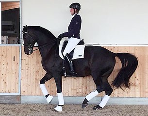 Henri Ruoste and Simply Nymphenburg at Gut Bertingloh in Menden, Germany