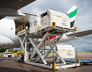 Horses bound for the Rio 2016 Olympic games are loaded onto an Emirates SkyCargo Being 777-F at London Stansted Airport. On the flight were 34 horses from 10 of the nations competing in Equestrian at Rio 2016 :: Photo © Jon Stroud