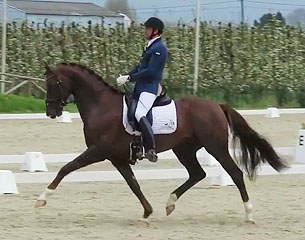 Tommie Visser and Guapo Begijnhoeve at the 2016 CDN Sint-Truiden