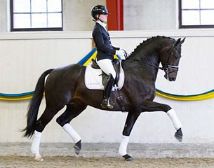 Ida-Linn Lundholm on the Dutch warmblood Eclectisch (by Zenon x Olivi) :: Photo © Tullstorp