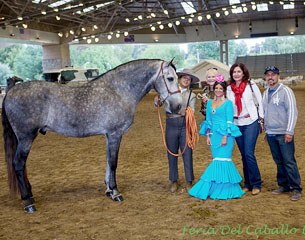 The 2016 Spring Feria del Caballo :: Photo © Joe Tello