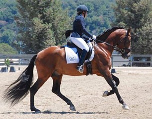 Katie Hoefs-Martin on Corsario MN, National Level Grand Champion in the 2016 USPRE California High Point Series
