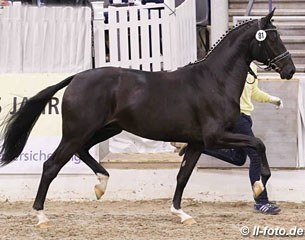 Quantensprung x Fidertanz