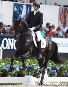 Glamoudale at the 2016 World Championships for Young Dressage Horses :: Photo © Astrid Appels