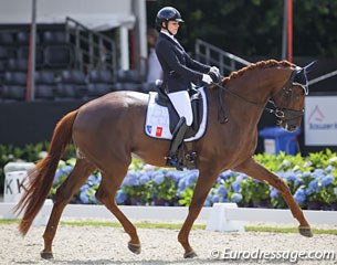 Lena Thouvenin and Diamondgio at the 2016 World Young Horse Championships in Ermelo :: Photo © Astrid Appels