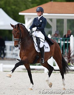 Mara de Vries on the 7-year old Dutch warmblood mare Farzana (by Ampere) at the 2017 CDIO Compiegne :: Photo © Astrid Appels