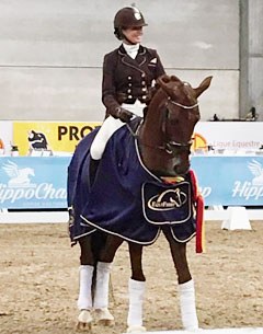 Larissa Pauluis and Irish Coffee win the 2017 Belgian Young Horse Championships for 4-year olds
