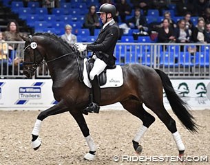 Jan Christensen on the 5-year old Romeo at the 2017 Danish Warmblood stallion licensing :: Photo © Ridehesten