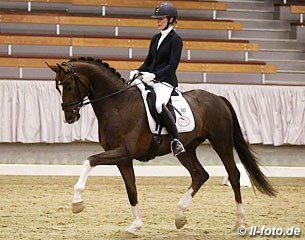 Beatrice Buchwald and Bonds at the 2017 German Stallion Sport Test in Munster-Handorf :: Photo © LL-foto