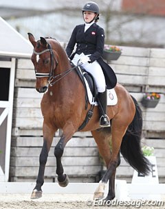 Louise Karstoft on the 15-year old Oldenburg Famaso (by Furst Heinrich x Aletto), who was previously competed by Falk Rosenbauer and Andreas Helgstrand