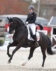 Pernille Pilborg on the stunning mover Holgaards Armani (by Sir Donnerhall x Florestan). The horse has a smashing trot, but is still unable to carry himself well enough, so he got either tight or dropped behind the vertical in trot. One to watch