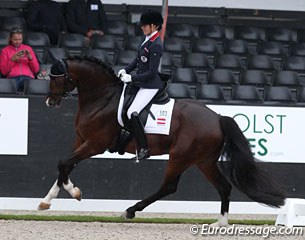 Stephanie Dearing on Claudia Pengg's Roi de Coeur (by Roi du Soleil x Don Gregory). Sweet horse with an elegant trot, a big walk and good balance in the counter canter. The topline needs to strengthen more to sustain elasticity