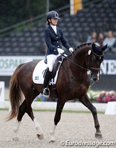 Camilla Lindh on Anette Syren's Swedish warmblood Klifton (by Floricello x Briar). The canter was the best gait of the three
