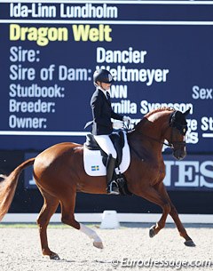 Swedish Isa-Linn Lundholm on Jan Brink's Swedish stallion Dragon Welt (by Dancier x Weltmeyer). A super cadenced trot and a well controlled canter made them score 8.72 points