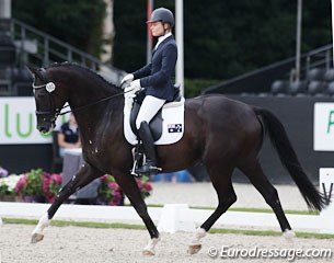 Australia's mystery pair: Rebecca Rooke on the French owned Trakehner Muchamp Royal Black (by All Inclusive x Biotop). Active and forward with big gaits, the gelding lacked bending and needed to show more self carriage