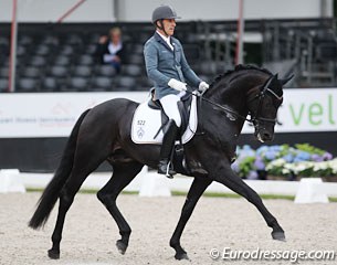 Rudolf Widmann on Gestut Ammerland's Westfalian stallion Revenant (by Rock Forever x Sir Donnerhall). Gorgeous horse with a scopey canter and big walk. In trot he got quick and needed to keep the poll more as highest point.