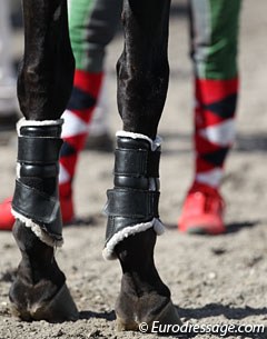Colourful socks with unauthorized boots at the horse inspection (the boots were removed for the trot up)