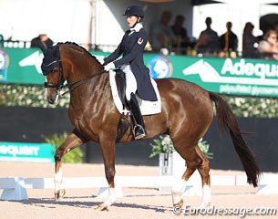 Brittany Fraser-Beaulieu on All In at the 2017 CDI Wellington :: Photo © Astrid Appels