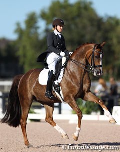 Katie Johnson on the gorgeous liver chestnut Sylvester