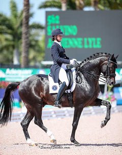 Adrienne Lyle and Salvino at the first CDI during the 2017 CDIO Wellington :: Photo © Sue Stickle