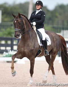Diana Porsche on her new ride Chrevi's Ravello (by Skovens Rafael x Chrevi's Cavallo). He was previously owned by Vivi and Christian Vang Lauritsen and competed by Michala Damm Frydenberg 