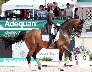 P.J. Rizvi on Breaking Dawn at the 2017 CDI Wellington :: Photo © Sue Stickle