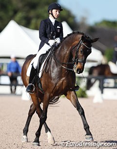 Betsy Steiner on Whitney Bailey's Baden Wurttemberger bred Swiss W