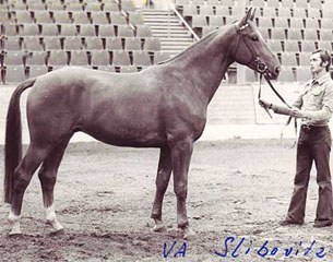 Slibowitz at the 1973 Hanoverian auction in Verden