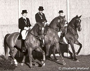 1977 European Championships: Schulten-Baumer on Slibowitz (bronze), Harry Boldt on Woyczek (silver), Christine Stuckelberger on Granat (gold)