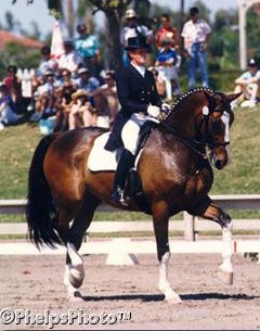 Carol Lavell and Gifted at the CDI in Wellington :: Photo © Mary Phelps