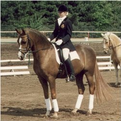 Veronique de Baecker and Fuego at the 1994 CDN Grote Brogel :: Photo © Julien Appels