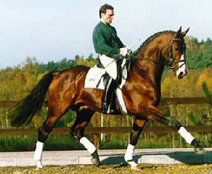 Heiko Munzmaier on a young Ragazzo (by Raphael x Pik König)