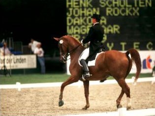 Johan Rockx and Dakota at the 1997 Dutch Championships :: Photo © Arnd.nl