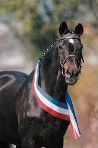 Cor de la Bruyere at his 30th birthday in 1998 :: Photo © Bernd Eylers