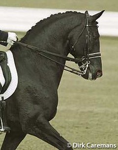 Ferro at the 1998 World Equestrian Games :: Photo © Dirk Caremans