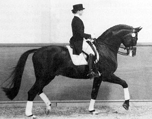 Angard (by Anduc x Gunnar x Helianthus)
