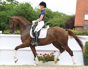 2015 Brightwells Addington Elite August Sale - Auction Horse in the Spotlight: Jazz Queen (by Jazzmate x Florestan x Le Cou Cou)