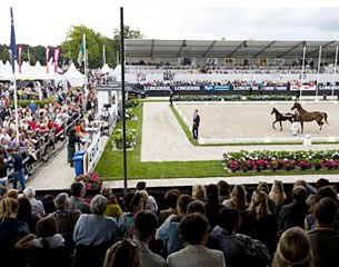 The 2016 Excellent Dressage Sales in Ermelo were a major success :: Photo © Hippofoto