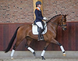 Hilary by Cendy is part of the outstanding collection of the 2016 Excellent Dressage Sales