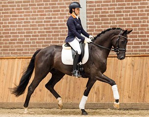 Horatio is part of the 2016 EDS - WCYH Auction Collection