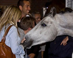 2010 Equine Elite Auction Collection ready to be tried out