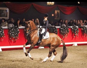 Michelle van Lanen presenting Urchin B at the 2013 Equine Elit Auction