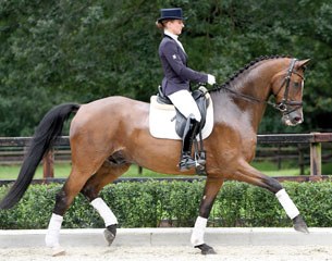 Amazing Boy, top seller at the 2017 Klosterhof Medingen auction :: Photo © Kiki Beelitz