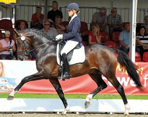 Theresa Wahler and Sommelier at the 2013 Hanoverian Young Horse Championship in Verden :: Photo © Kiki Beelitz 