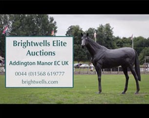 Brightwells Elite Auction on 7 December 2013