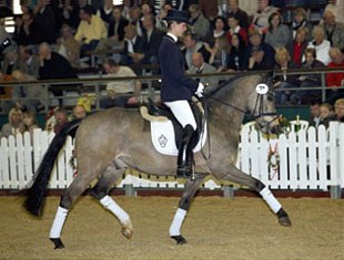 Champ of Class sells for 11,000 euro at the 2009 Westfalian Elite Auction in Munster-Handorf