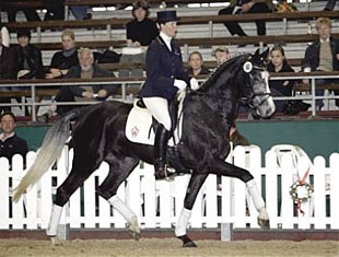 Lennox Luis, Price Highlight of the 2009 Westfalian Spring Elite Auction