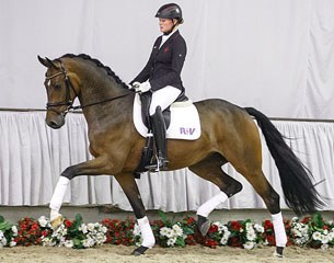 2015 Westfalian Autumn Elite Auction: Catalog Nr 1. Supertramp, a 3-year old gelding by Sir Heinrich